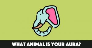 What Animal Is Your Aura?