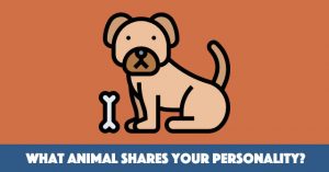 What Animal Shares Your Personality?