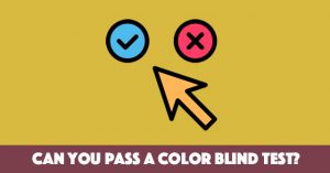 Can You Pass A Color Blind Test?
