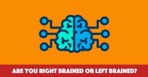 Are You Right Brained Or Left Brained?