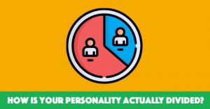 How Is Your Personality Actually Divided?