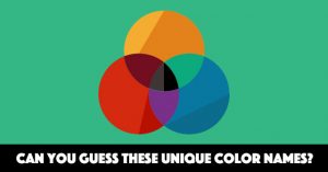 Can You Guess These Unique Color Names?